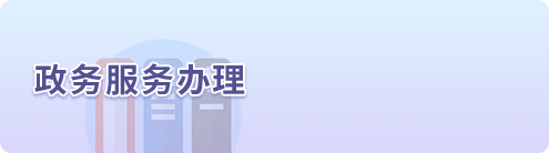 政務(wù)服務(wù)辦理