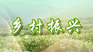 鄉(xiāng)村振興