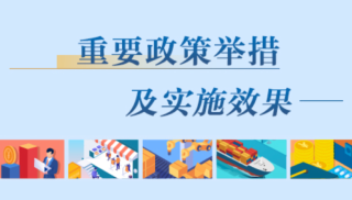 重要政策舉措及實(shí)施效果